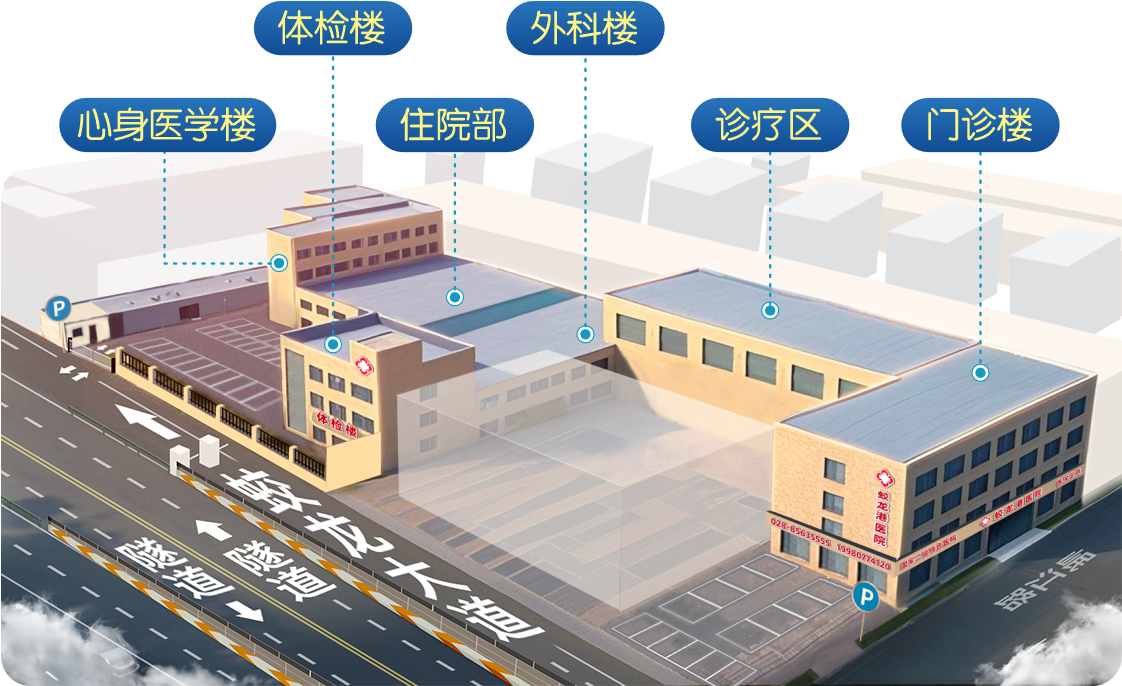 顶部文字单独标注圆角.png